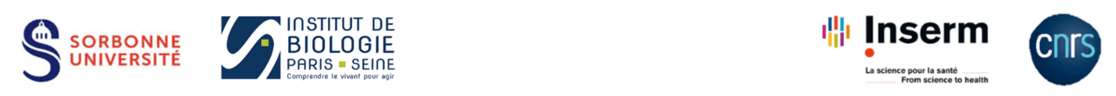 logos